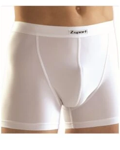 Boxer De Sport Zsport