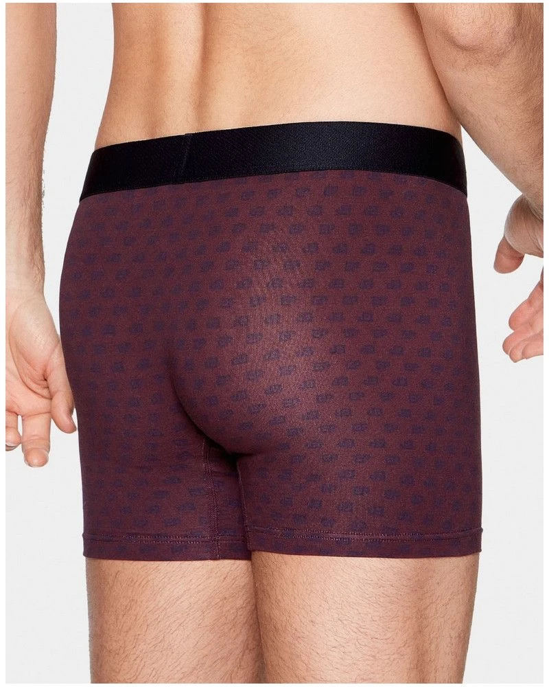 Boxer Eden Park H18 (BDJ95) 4 Boxer Eden Park H18 (BDJ95) – Image 2