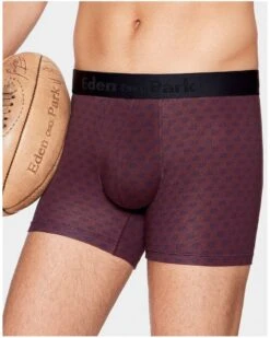 Boxer Eden Park H18 (BDJ95)