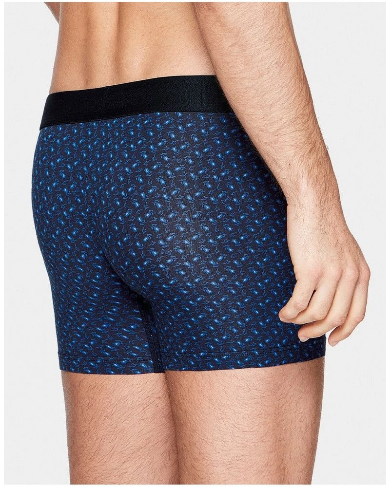 Boxer Eden Park H29 (NB002) 4 Boxer Eden Park H29 (NB002) – Image 2