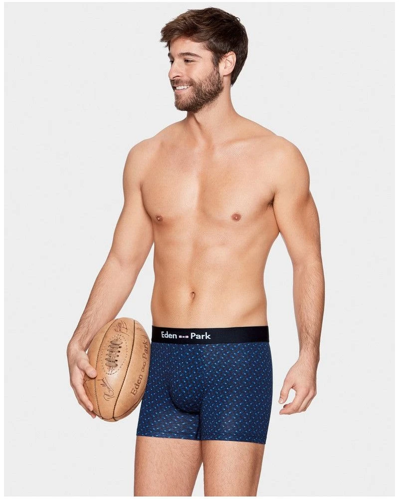 Boxer Eden Park H29 (NB002) 5 Boxer Eden Park H29 (NB002) – Image 3