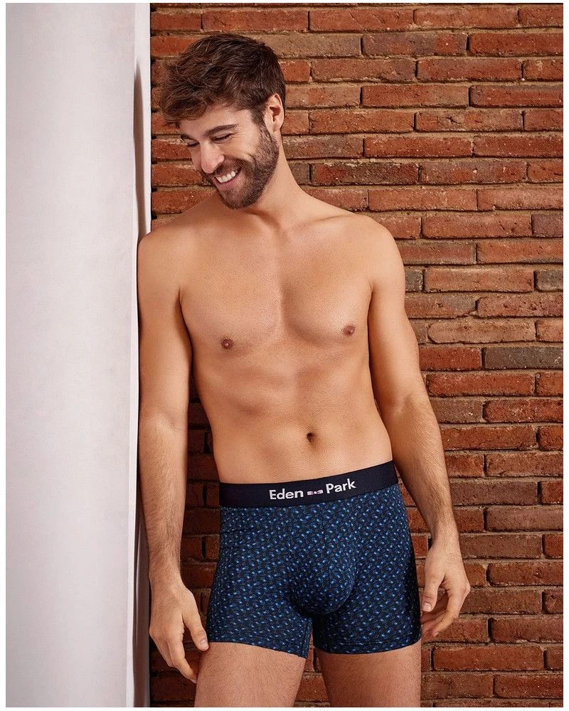 Boxer Eden Park H29 (NB002) 7 Boxer Eden Park H29 (NB002) – Image 5