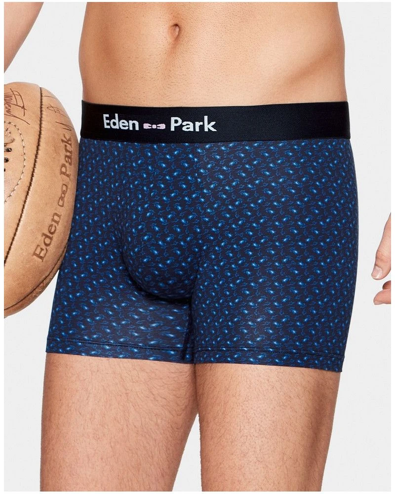 Boxer Eden Park H29 (NB002) 3 Boxer Eden Park H29 (NB002)