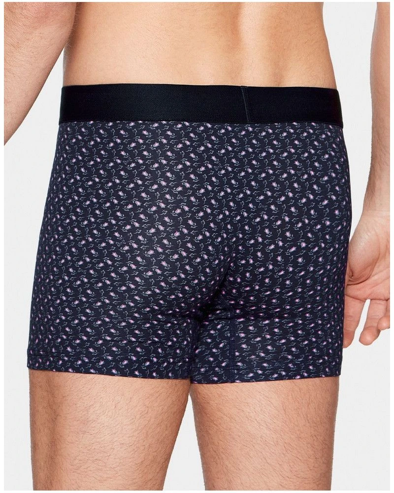 Boxer Eden Park H29 (NB039) 4 Boxer Eden Park H29 (NB039) – Image 2