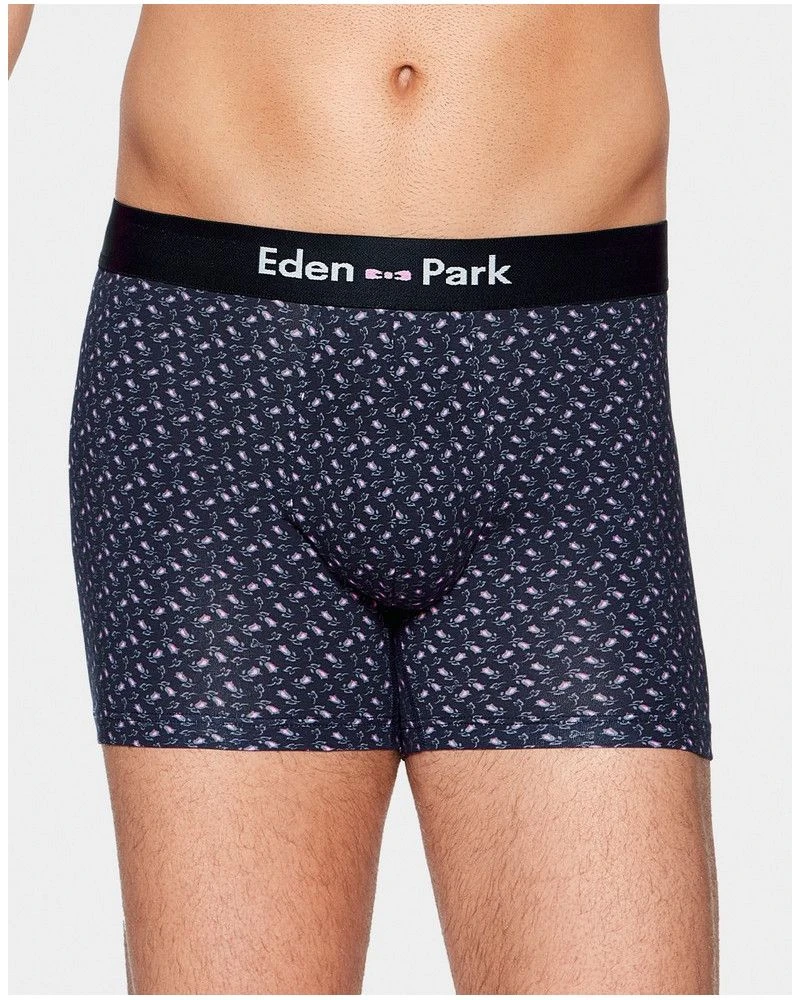 Boxer Eden Park H29 (NB039) 3 Boxer Eden Park H29 (NB039)