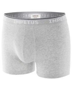 Boxer Impetus Coton Bio (073) -Aubade Lingerie Boutique boxer impetus coton bio 073 2