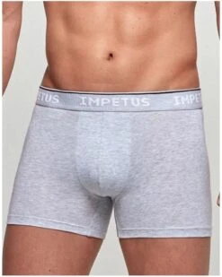 Boxer Impetus Coton Bio (073)