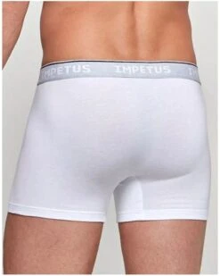 Boxer Impetus Coton Bio (26C) -Aubade Lingerie Boutique boxer impetus coton bio 26c 1