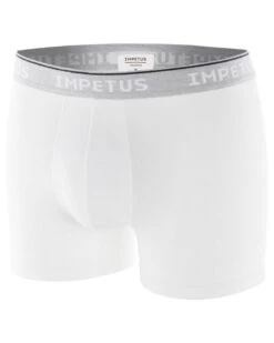 Boxer Impetus Coton Bio (26C) -Aubade Lingerie Boutique boxer impetus coton bio 26c 2