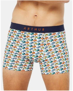 Boxer MAC 2CVE23 Arthur