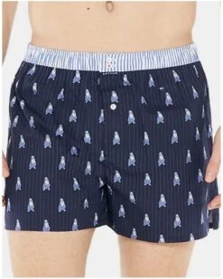 Caleçon à Suspensoir 100% Coton Bio Arthur 1006