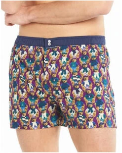 Caleçon à Suspensoir 100% Coton Bio Arthur 933