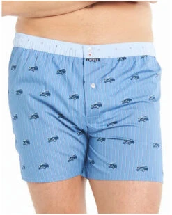 Caleçon à Suspensoir 100% Coton Bio Arthur 941