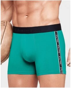 Shorty Eden Park E644G46 (K32)