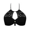 Soutien-gorge De Bain Bandeau Coque Antigel La Muse Dentelle (Noir) -Aubade Lingerie Boutique soutien gorge de bain bandeau coque antigel la muse dentelle noir