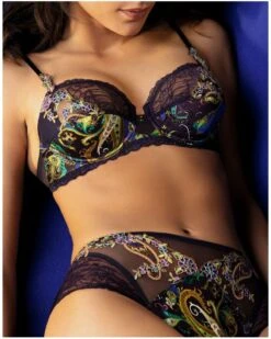 Soutien-gorge Emboîtant Lise Charmel Dentelle Cashmer (Emaux Cashmer) 14 Soutien-gorge Emboîtant Lise Charmel Dentelle Cashmer (Emaux Cashmer) -Aubade Lingerie Boutique soutien gorge emboitant lise charmel dentelle cashmer emaux cashmer 3