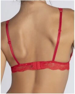 Soutien-gorge Triangle Lise Charmel Splendeur Soie (Splendeur Rouge) 11 Soutien-gorge Triangle Lise Charmel Splendeur Soie (Splendeur Rouge) -Aubade Lingerie Boutique soutien gorge triangle lise charmel splendeur soie splendeur rouge 3