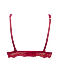 Soutien-gorge Triangle Lise Charmel Splendeur Soie (Splendeur Rouge) 13 Soutien-gorge Triangle Lise Charmel Splendeur Soie (Splendeur Rouge) -Aubade Lingerie Boutique soutien gorge triangle lise charmel splendeur soie splendeur rouge 5