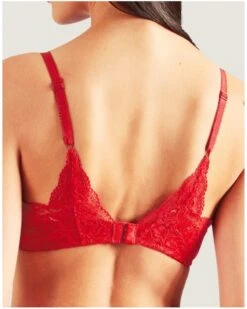 Soutien-gorge Triangle Plunge Aubade Rosessence (Gala) 8 Soutien-gorge Triangle Plunge Aubade Rosessence (Gala) -Aubade Lingerie Boutique soutien gorge triangle plunge aubade rosessence gala 2