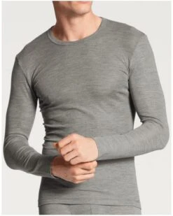 Top Manches Longues Calida Laine & Soie (Platin Melé)